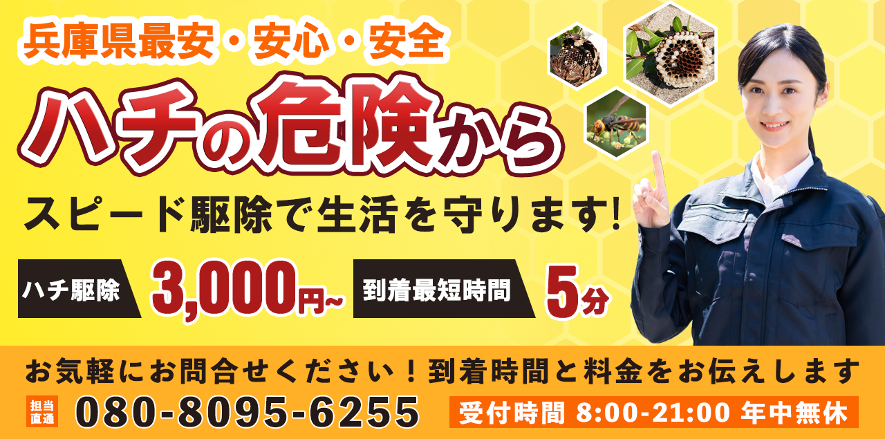 兵庫県　最安値　蜂の巣駆除